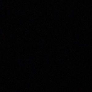 Meet your Posher, Rani